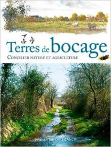 bocage