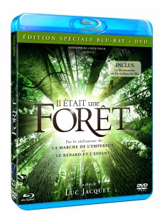 foretdvd