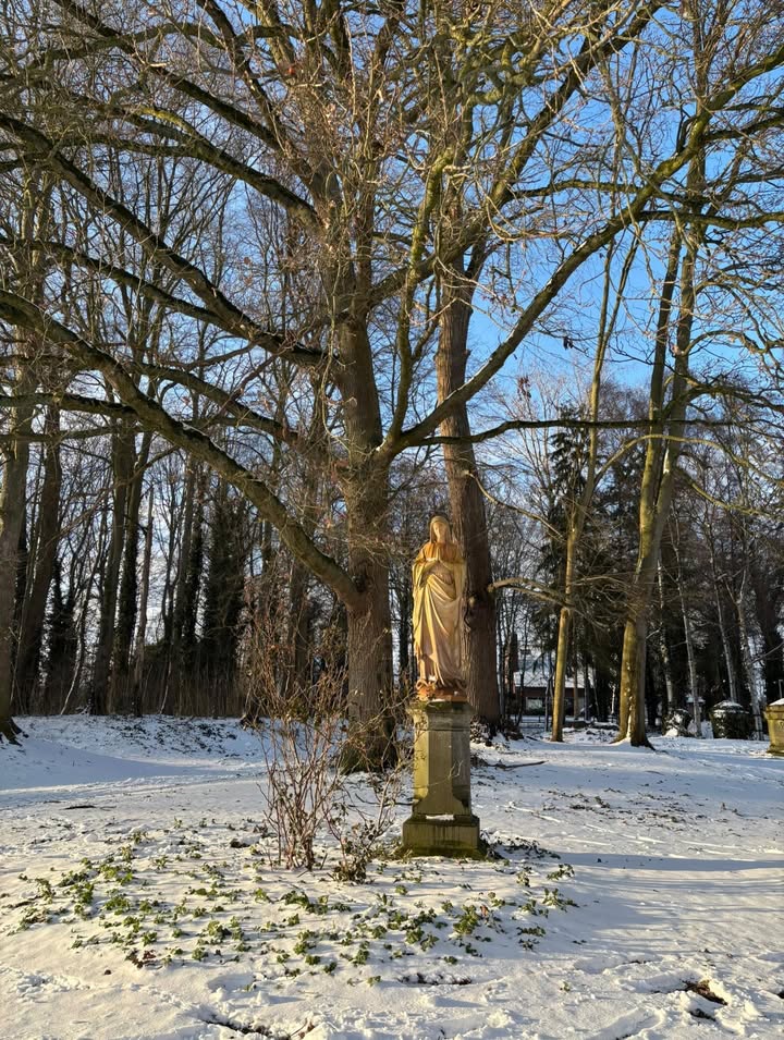 Sortie neige pour nos ados !