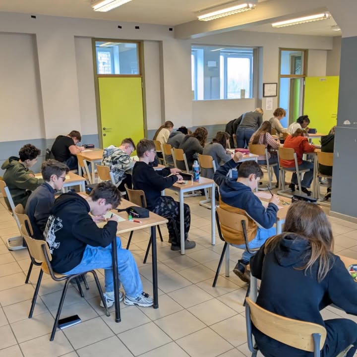 Olympiades de mathématiques : Félicitations élèves !