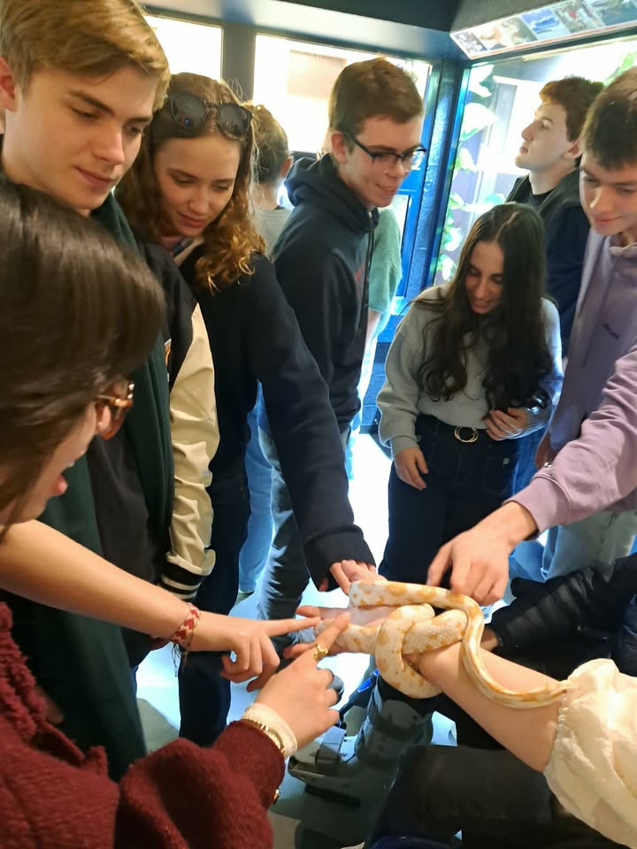 Sortie des 6e sciences à Tournai : sciences et découvertes