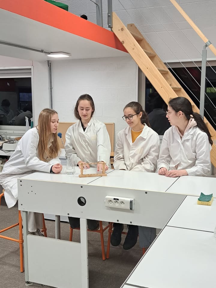 Sortie des 4e sciences au Sparkôh!