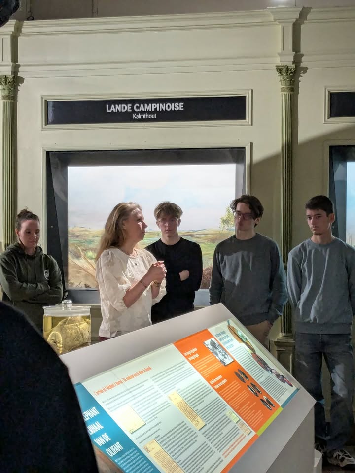 Sortie des 6e sciences à Tournai : sciences et découvertes