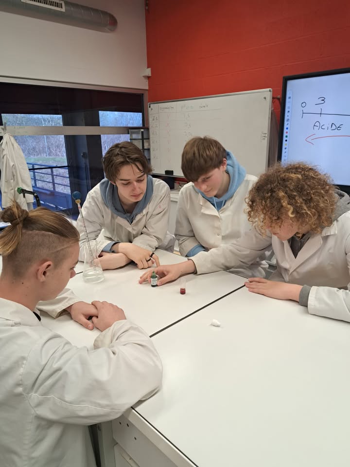 Sortie des 4e sciences au Sparkôh!