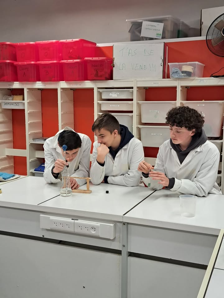 Sortie des 4e sciences au Sparkôh!