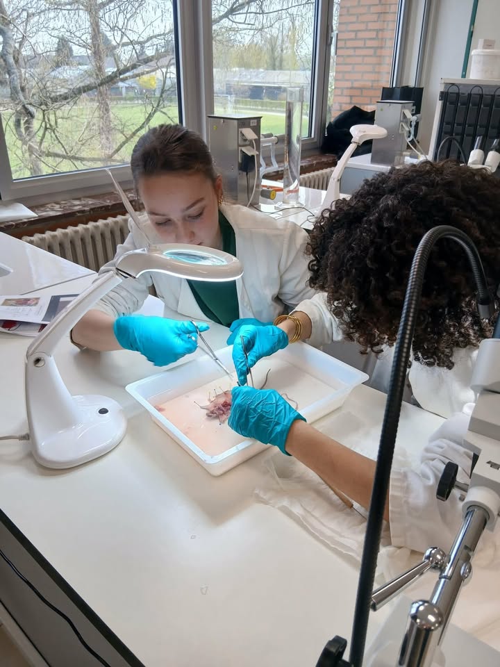 Printemps des sciences pour les 5e sciences
