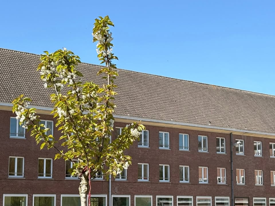 Portes ouvertes du 11 avril au potager