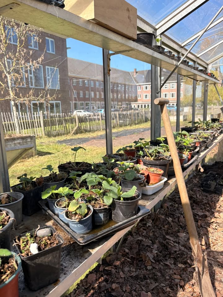 Portes ouvertes du 11 avril au potager