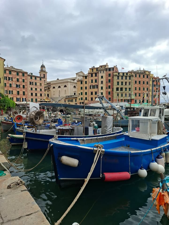 Découverte de la Ligurie par les élèves de 6e