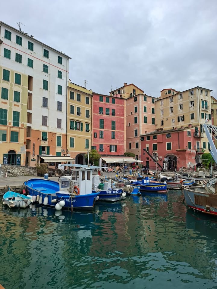 Découverte de la Ligurie par les élèves de 6e
